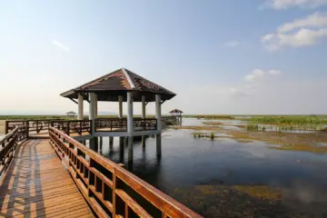 Embracing the Wonders of Hongze Lake Wetland Scenic Area in Sihong County, Jiangsu Province Embracing the Wonders of Hongze Lake Wetland Scenic Area in Sihong County, Jiangsu Province