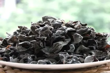 The Delectable World of Qingchuan Black Fungus from Guangyuan, 사천 The Delectable World of Qingchuan Black Fungus from Guangyuan, Sichuan